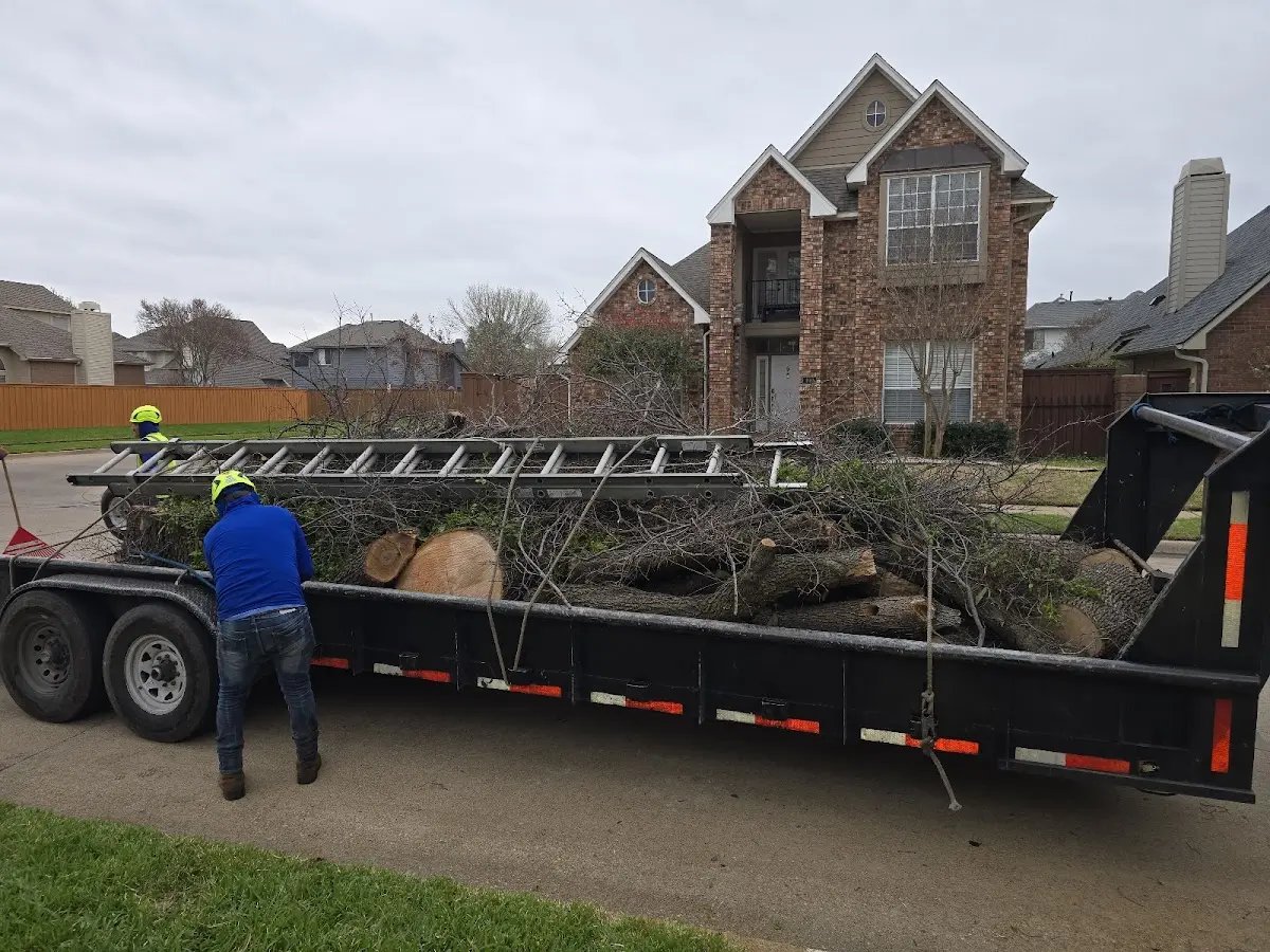 Expert Tree Fertilization with proper safety equipment in Salina